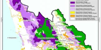 Sustainable Landscape dan Low Emission Development