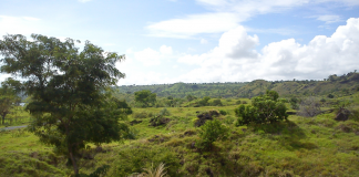 Landskap di Sanggar, Kecamatan Bima, Provinsi Nusa Tenggara Barat