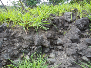 Top soil di Kabupaten Bima